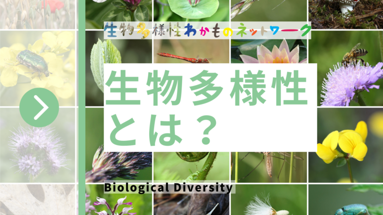 生物多様性とは？ 生物多様性わかものネットワーク